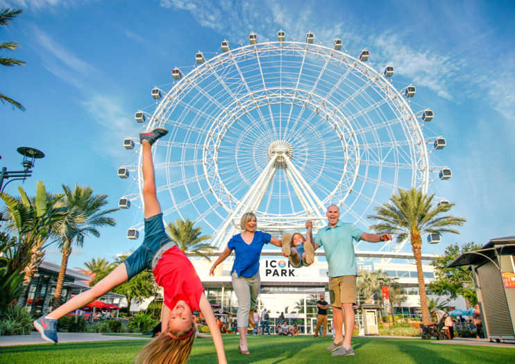 The Wheel at Icon Park